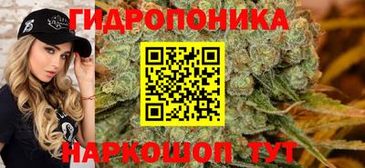 спиды Владимир