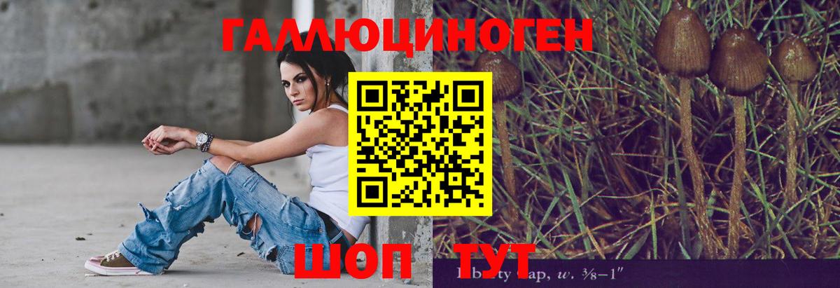 Астрахань  Галлюциногенные грибы Psilocybine cubensis  Вход с VPN 